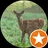 Francesca Grandi profile picture